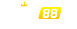 xin88.life